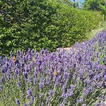 Hébergement de vacances Sielanka *