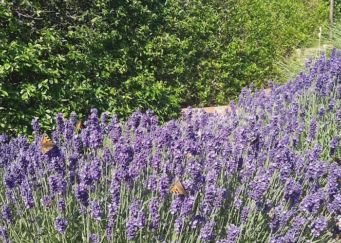 Сasa de vacaciones Sielanka *