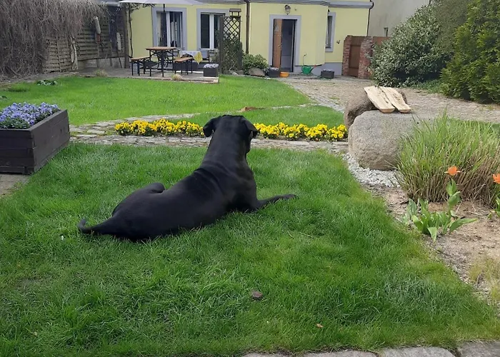 Sielanka Сasa de vacaciones *